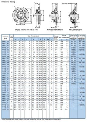 UCFC208 Rodamiento de bolas de bloque de almohada de acero inoxidable con precisión nominal P0 P4 P5 P6 P2