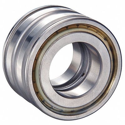 Complemento para la industria automotriz SL04 5007 PP2NR Rodamientos de rodillos para la durabilidad